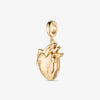 Anatomical Heart Locket