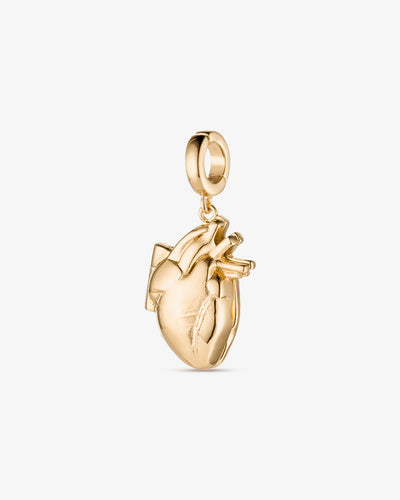 Anatomical Heart Locket