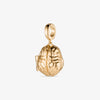 Brain Locket