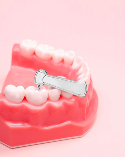 The Just My Typ(odont) Set