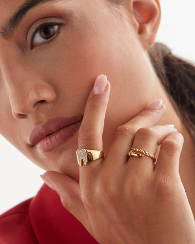 Endodontic Rotary File Ring