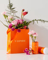 Gift Bag + Tissue - V Coterie