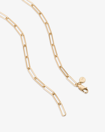 Long Link Charm Holder Necklace