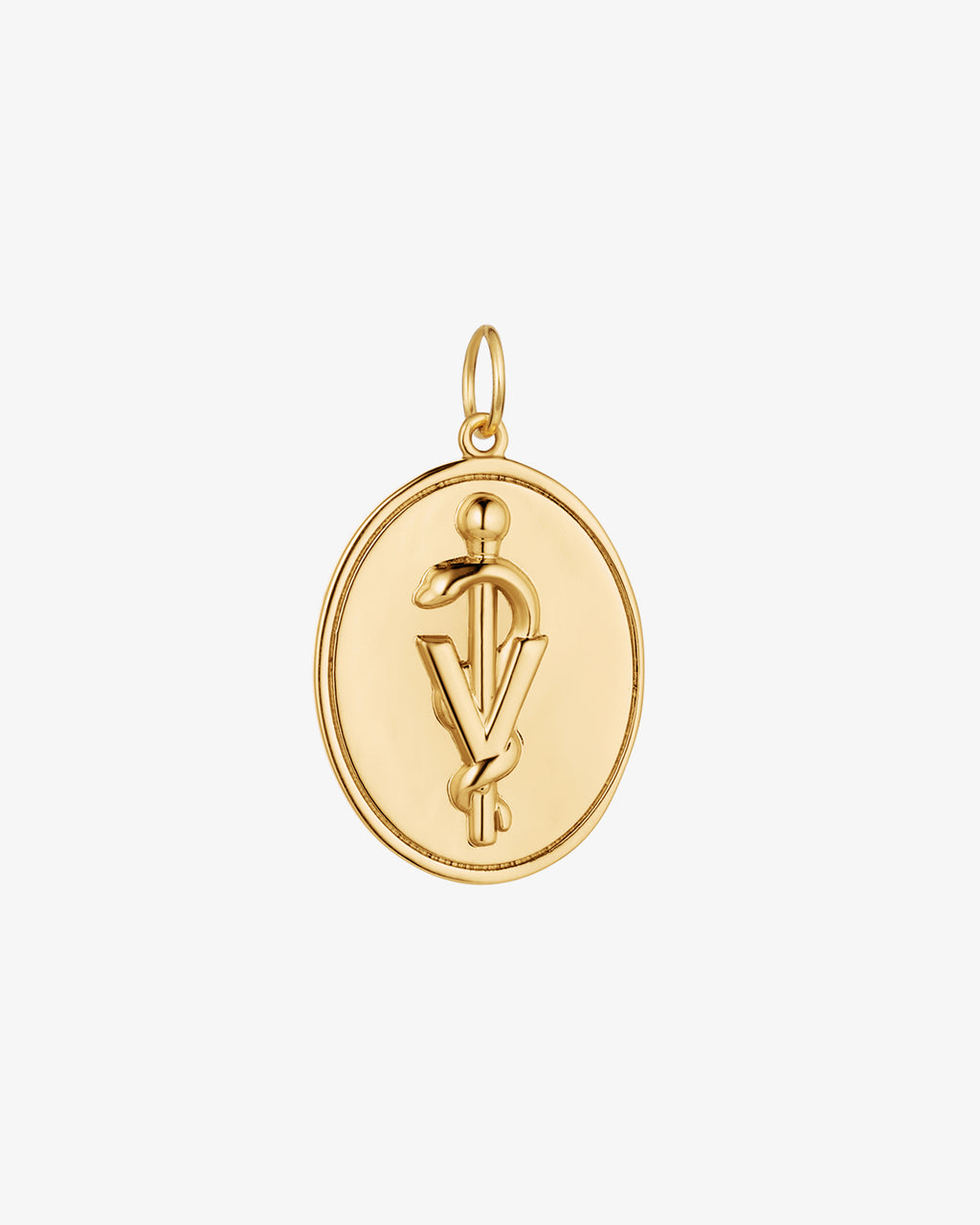 Modern Veterinary Medicine Rod of Asclepius Medallion Charm Medical Jewelry by V Coterie