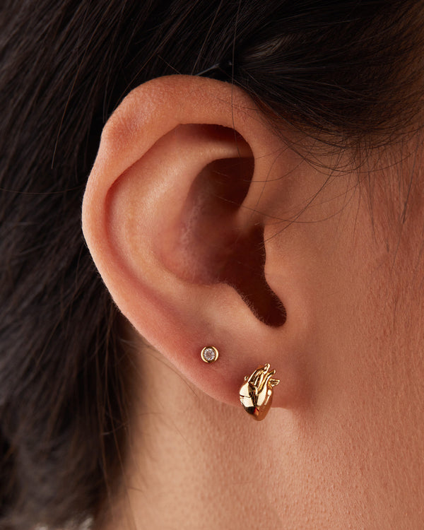 Anatomical Heart Stud Earrings