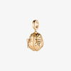 Brain Locket